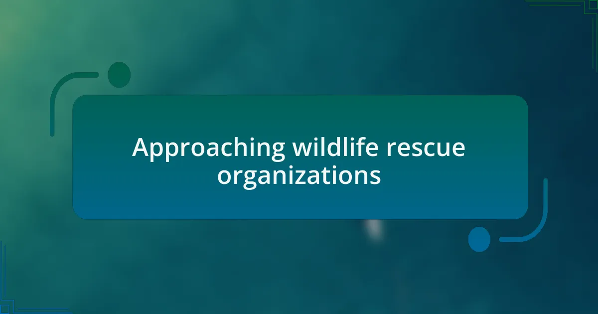 Approaching wildlife rescue organizations