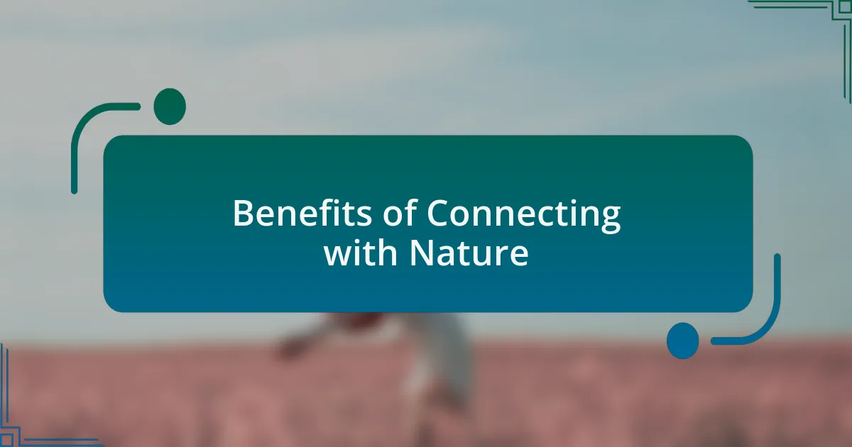 Benefits of Connecting with Nature