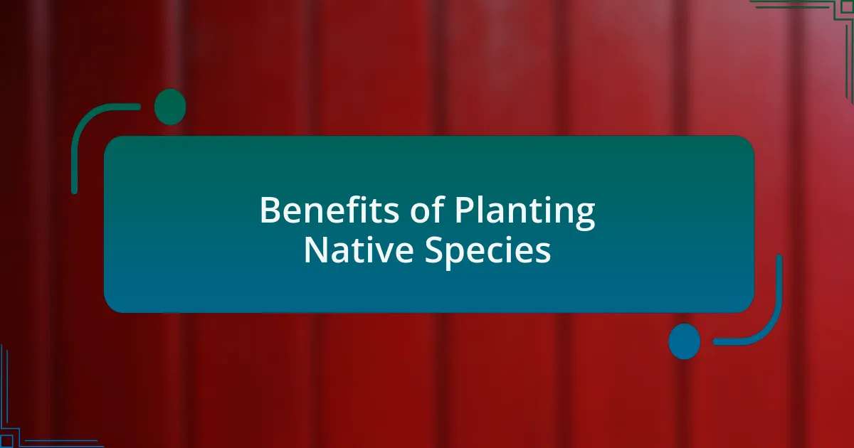 Benefits of Planting Native Species