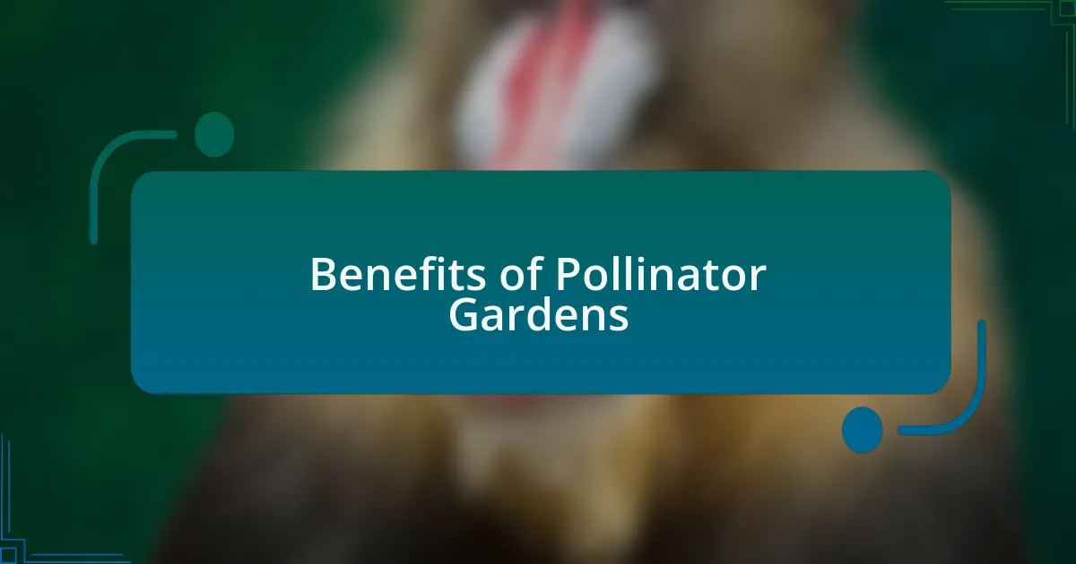 Benefits of Pollinator Gardens