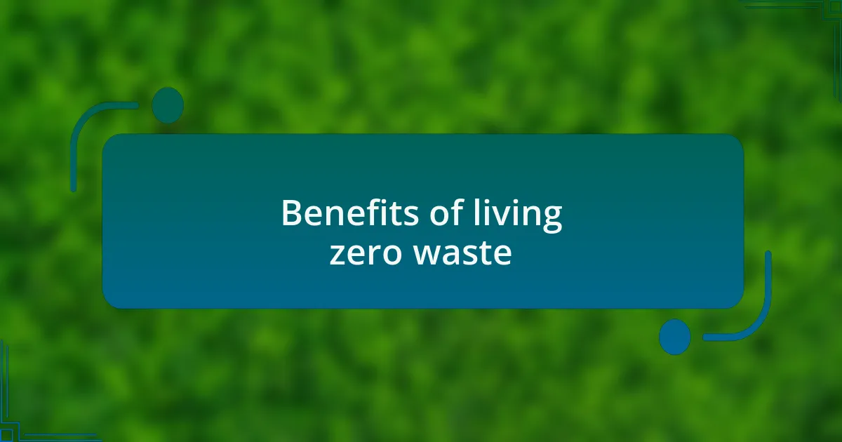 Benefits of living zero waste