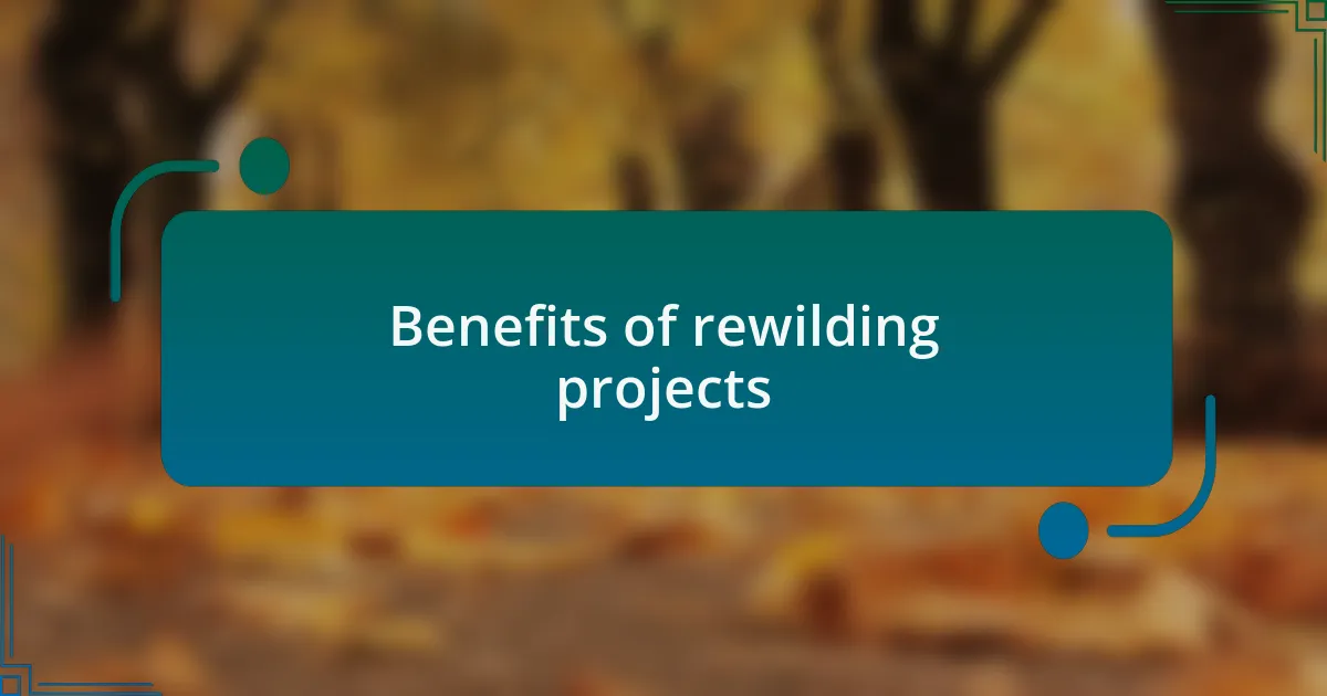 Benefits of rewilding projects