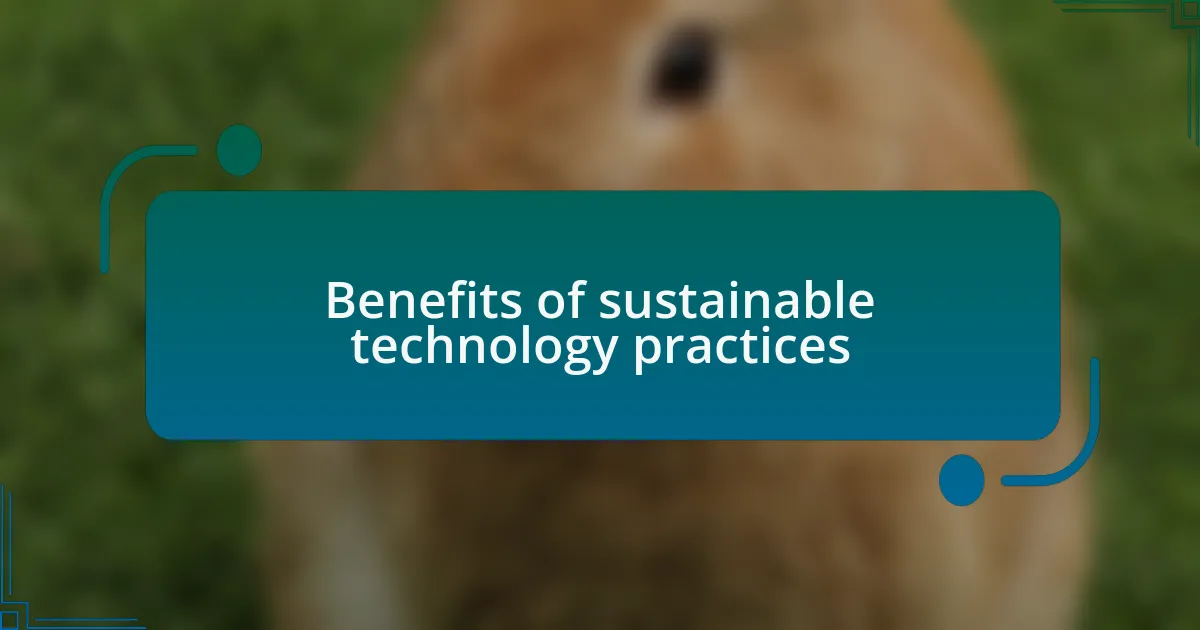 Benefits of sustainable technology practices