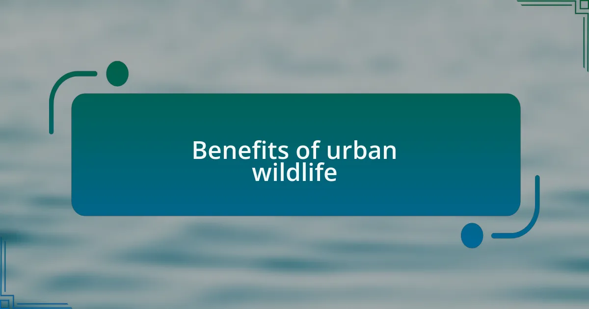 Benefits of urban wildlife