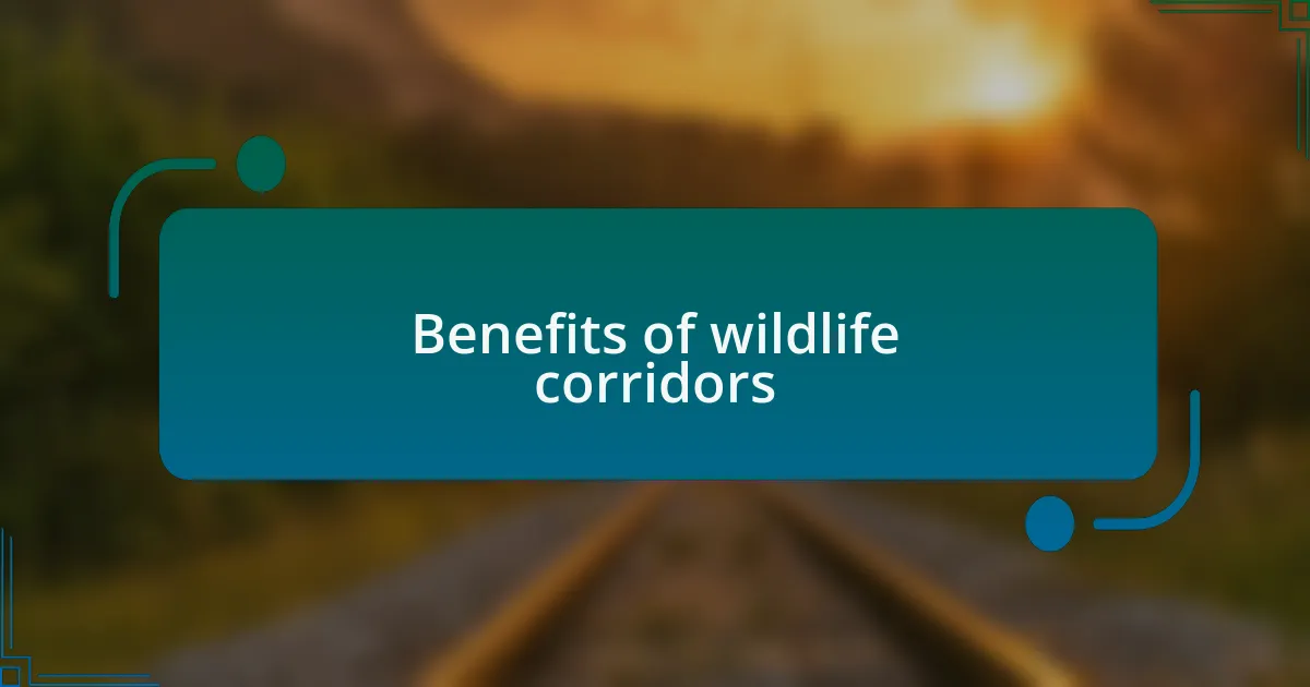 Benefits of wildlife corridors