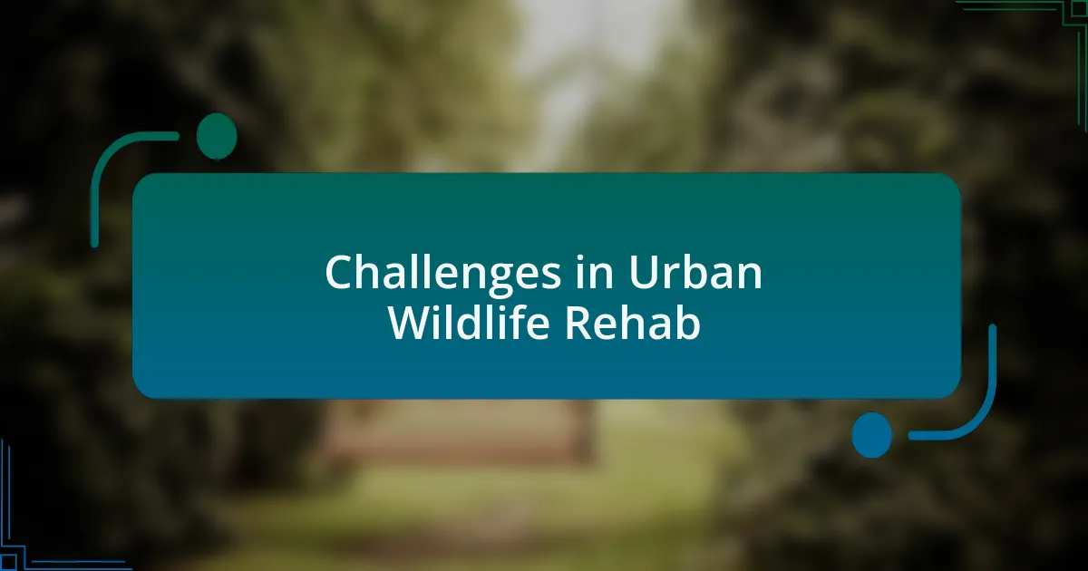 Challenges in Urban Wildlife Rehab