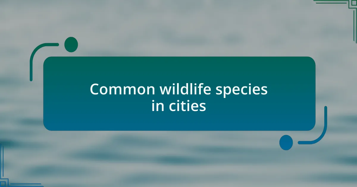 Common wildlife species in cities