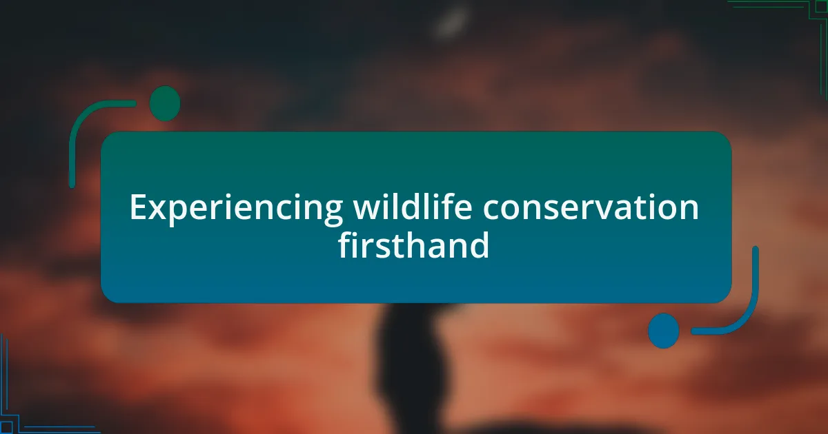 Experiencing wildlife conservation firsthand