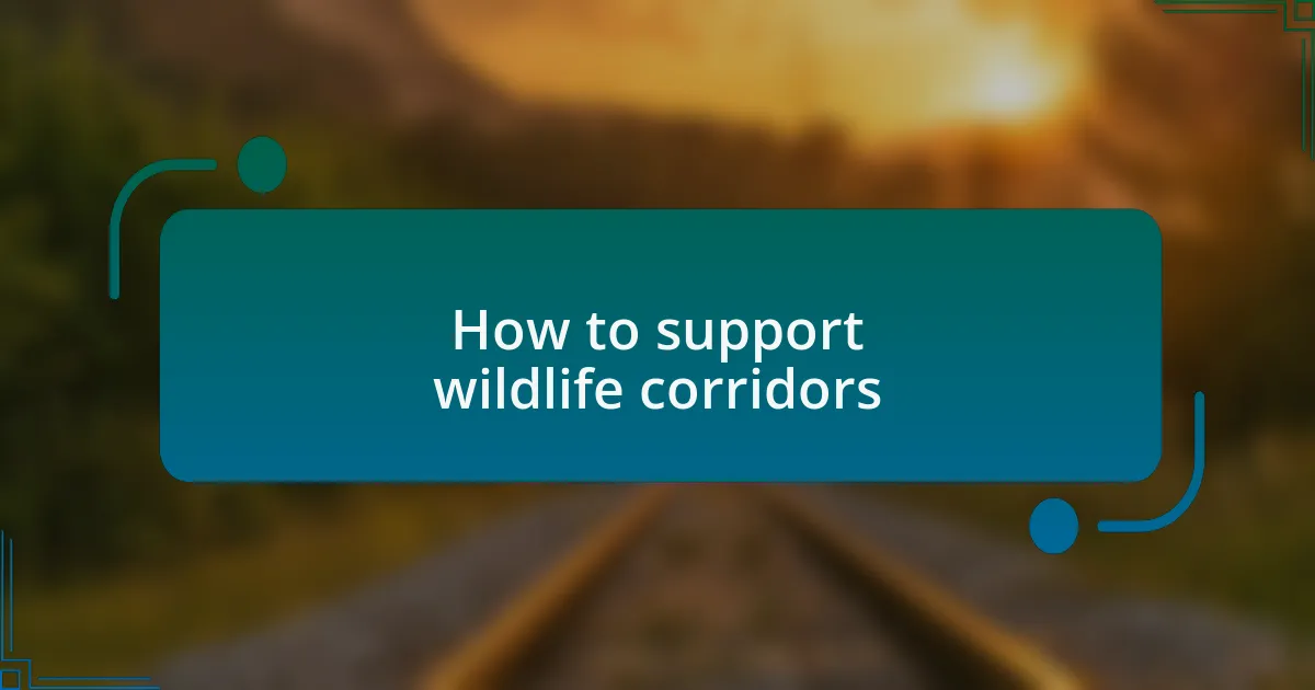 How to support wildlife corridors