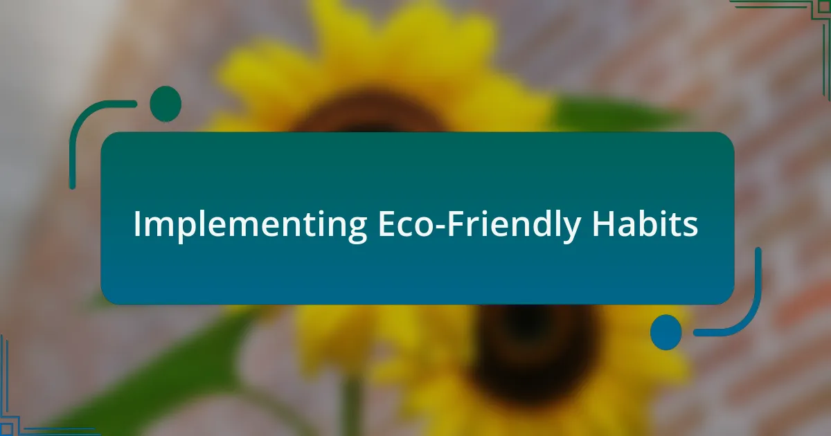 Implementing Eco-Friendly Habits