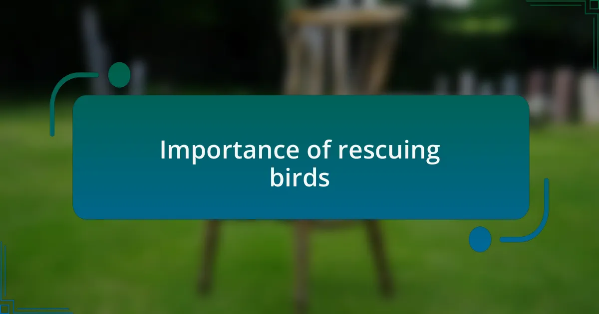 Importance of rescuing birds