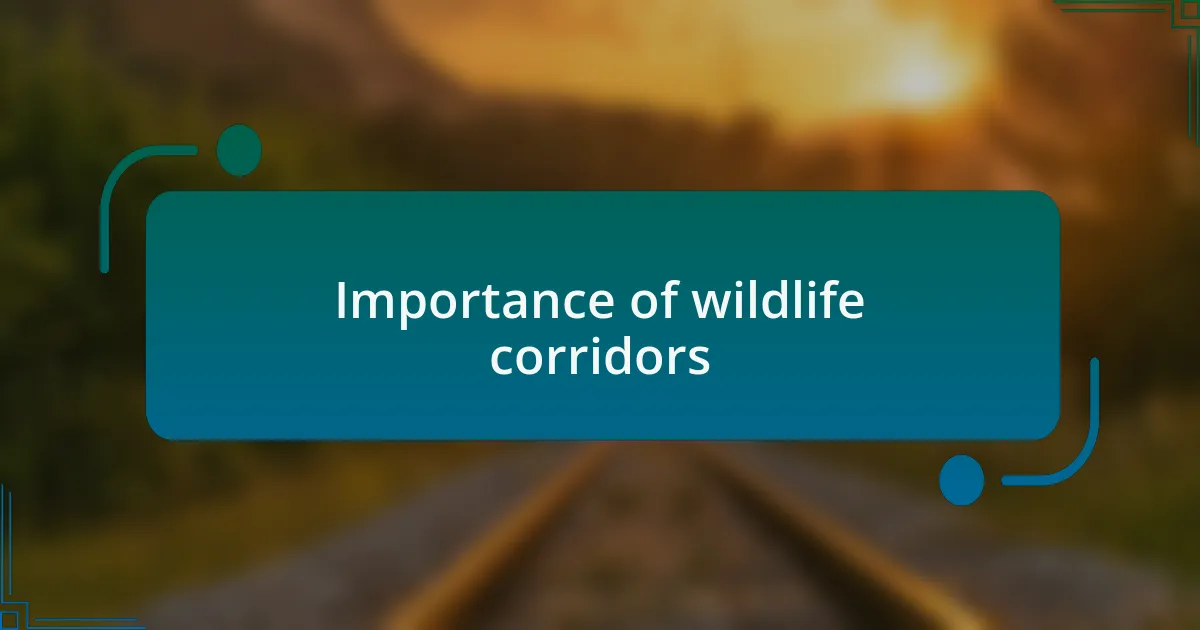 Importance of wildlife corridors
