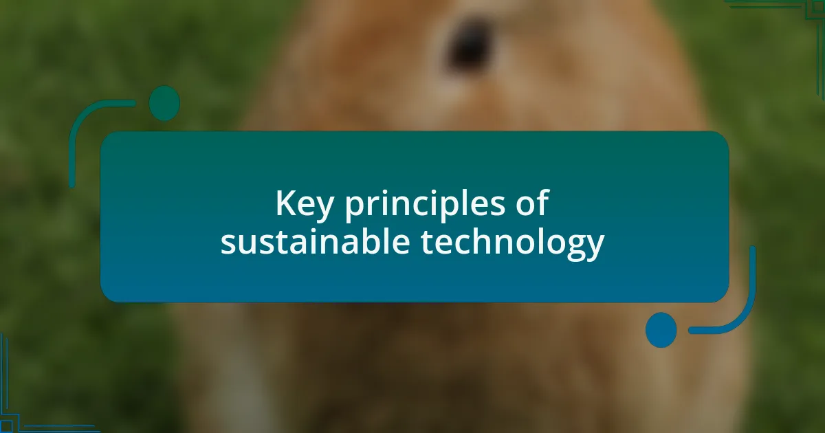 Key principles of sustainable technology
