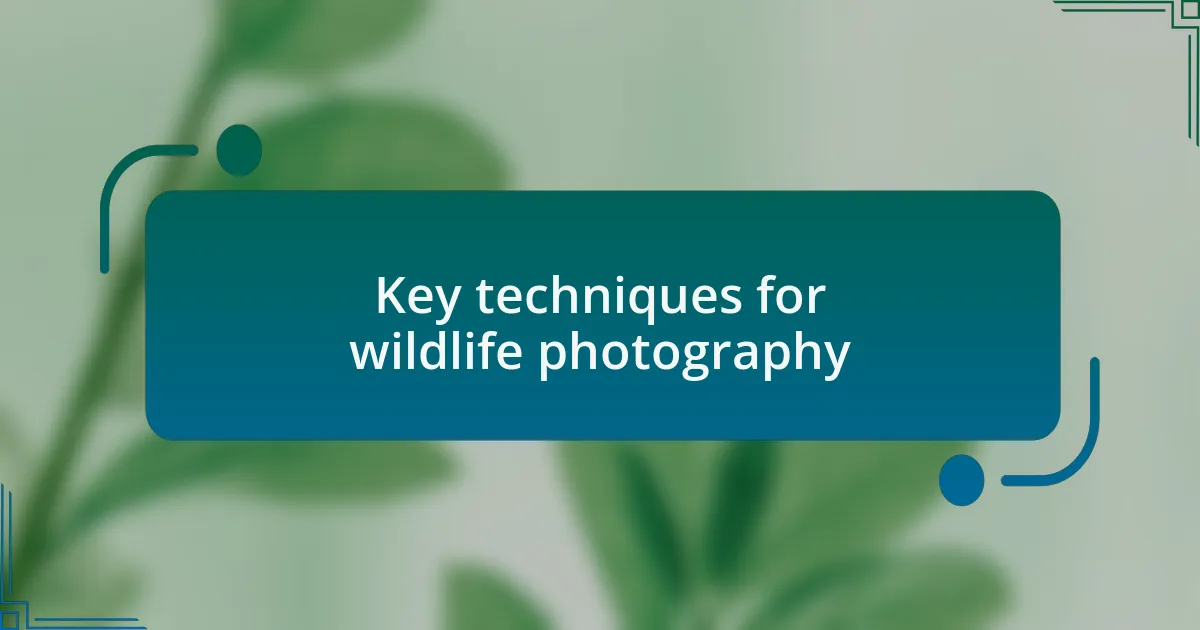 Key techniques for wildlife photography