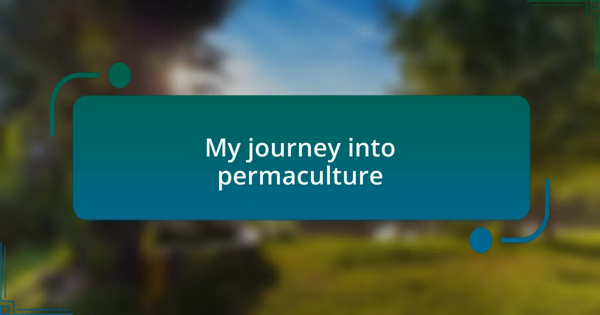 My journey into permaculture