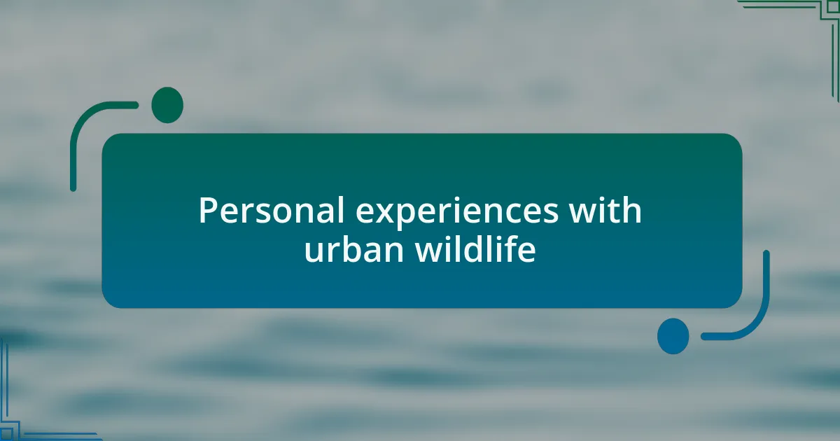 Personal experiences with urban wildlife