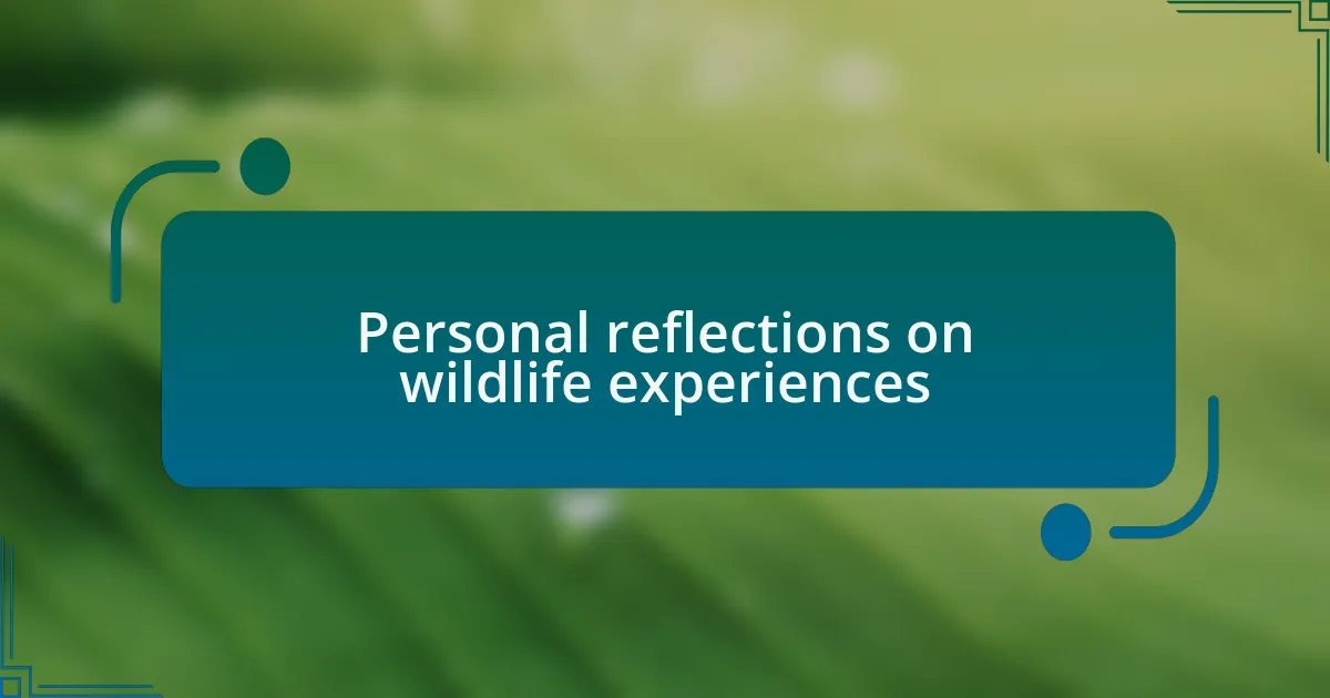Personal reflections on wildlife experiences