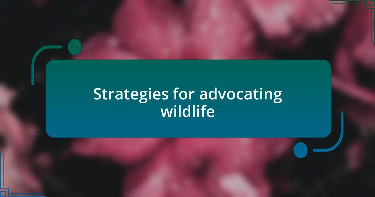 Strategies for advocating wildlife