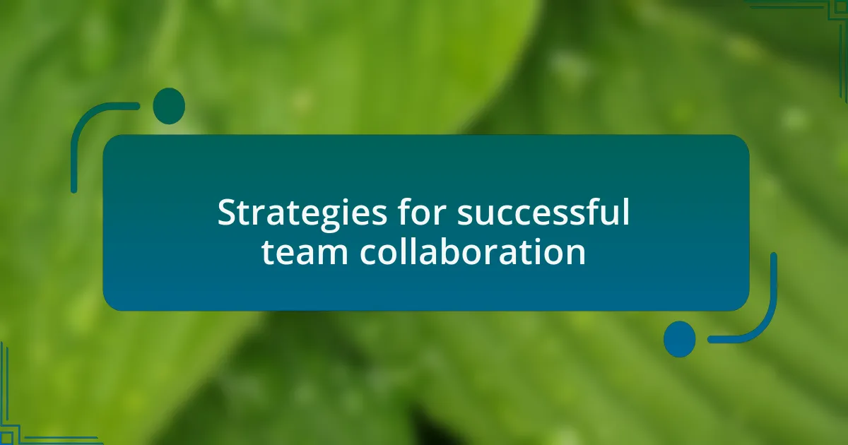 Strategies for successful team collaboration