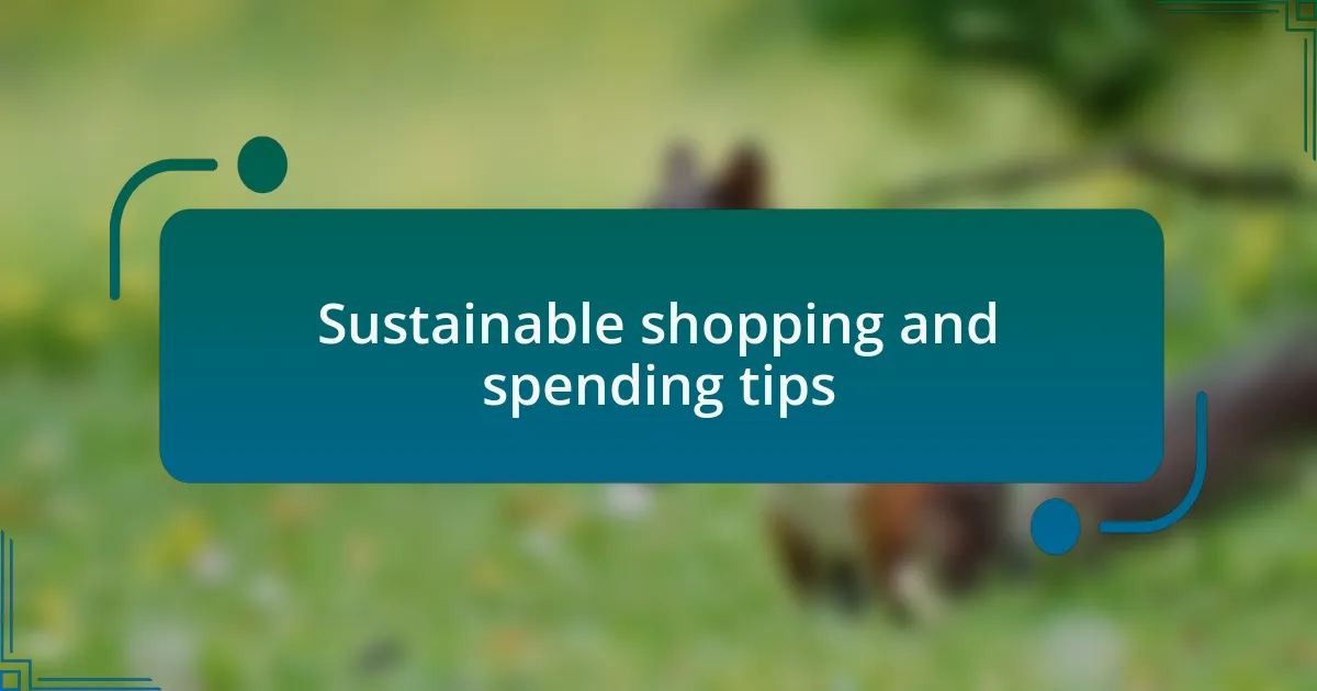 Sustainable shopping and spending tips