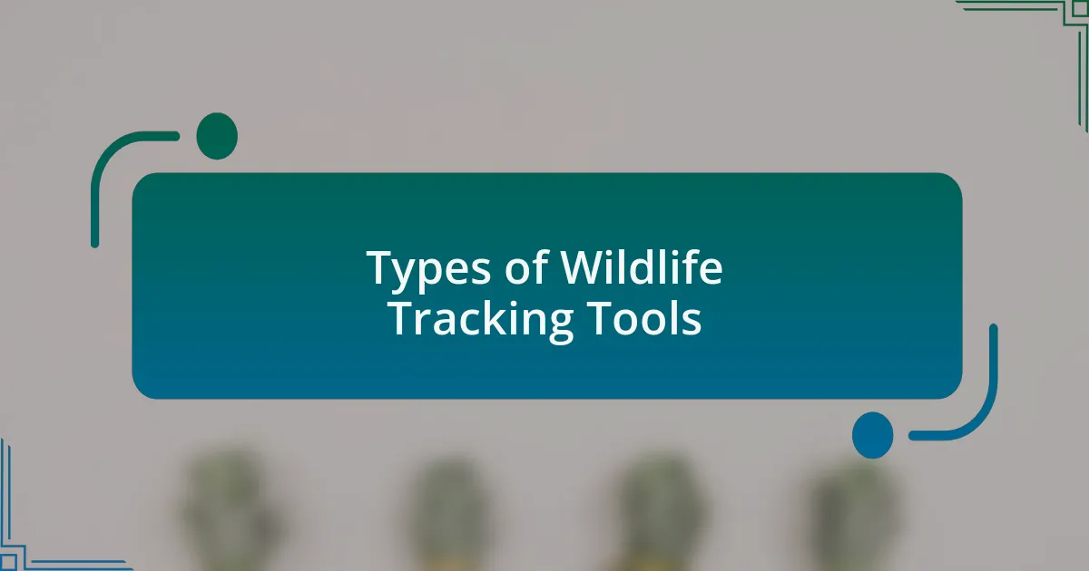 Types of Wildlife Tracking Tools
