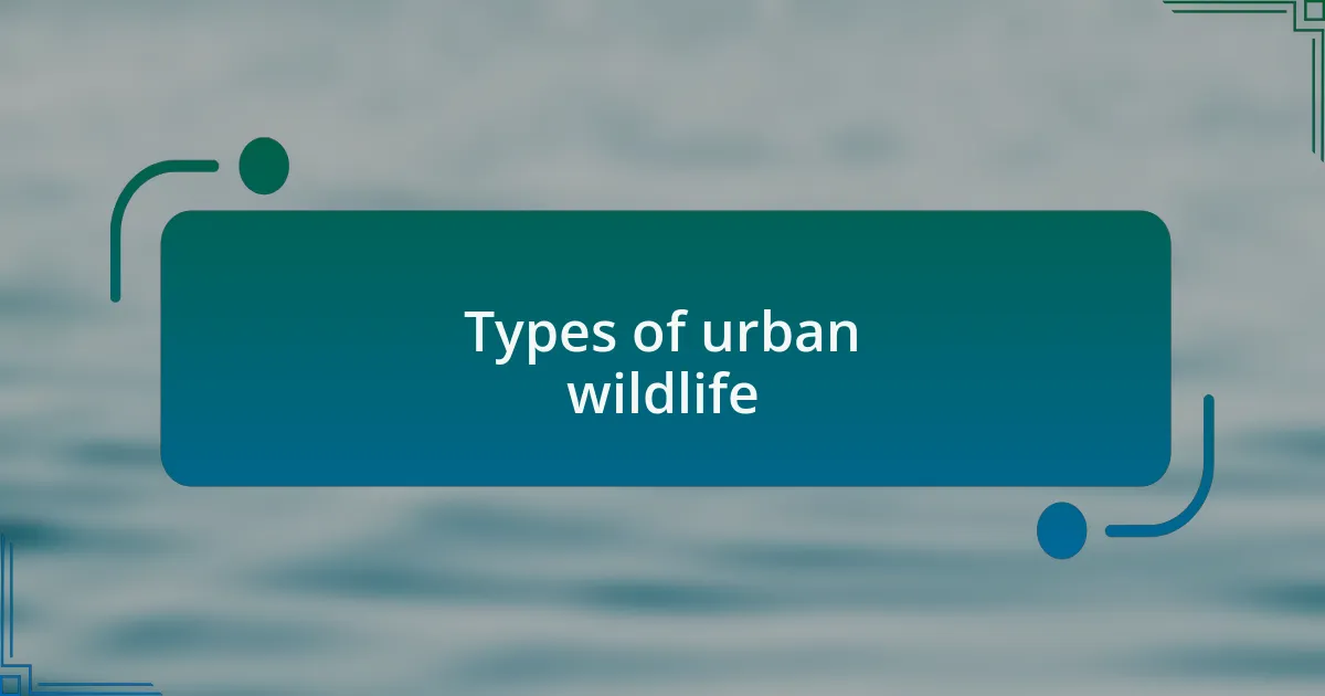 Types of urban wildlife