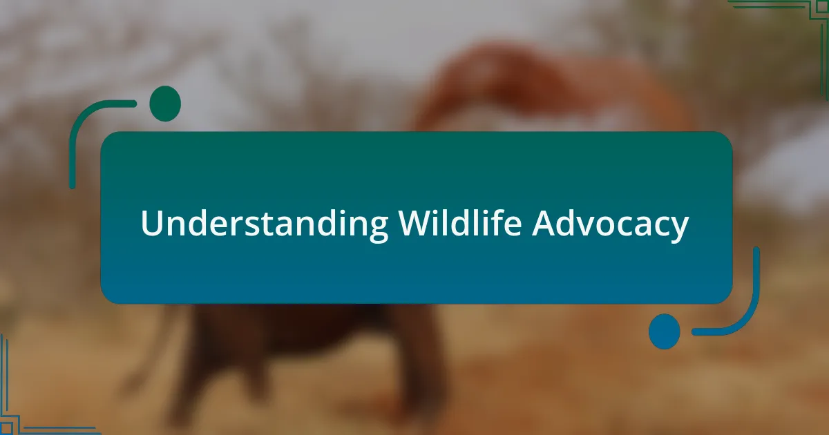 Understanding Wildlife Advocacy