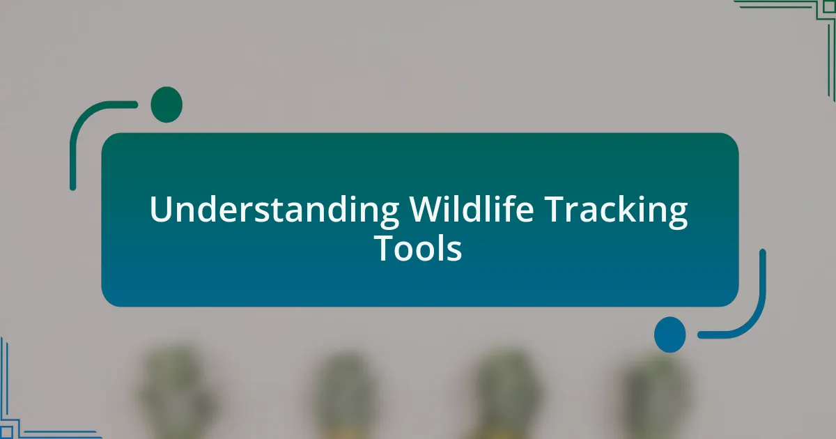 Understanding Wildlife Tracking Tools