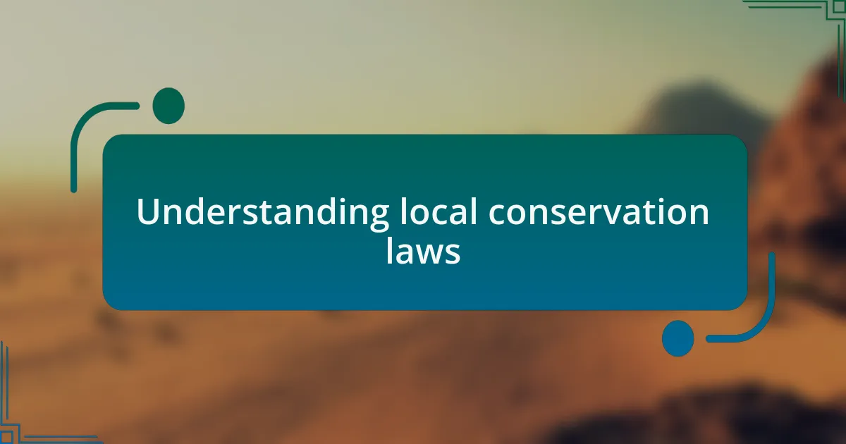 Understanding local conservation laws