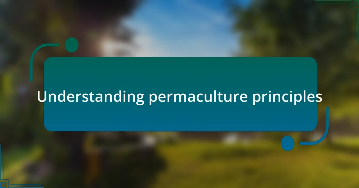 Understanding permaculture principles