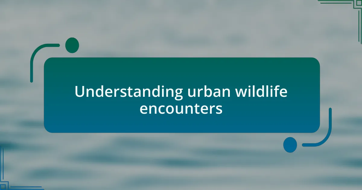 Understanding urban wildlife encounters