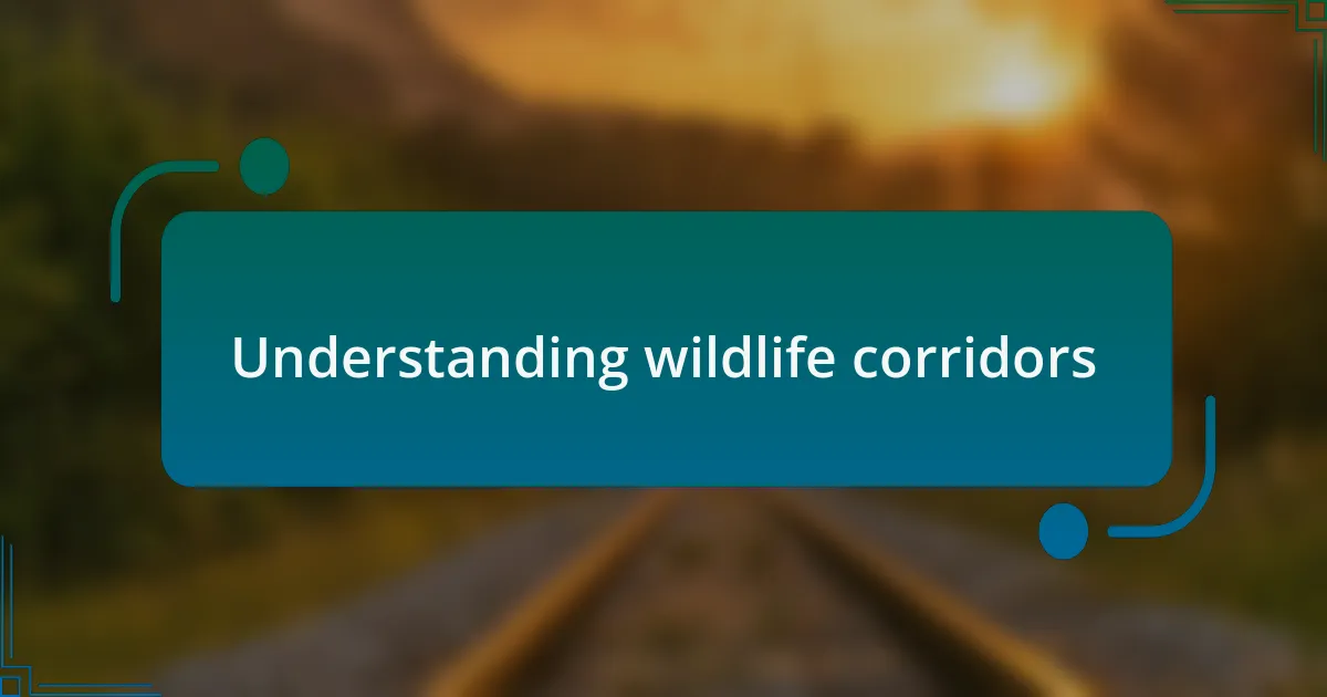 Understanding wildlife corridors