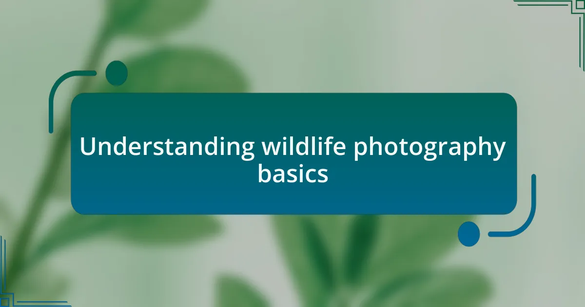 Understanding wildlife photography basics