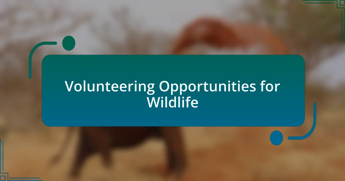Volunteering Opportunities for Wildlife